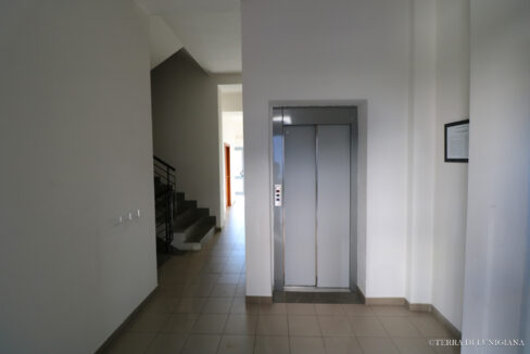 117a (11)