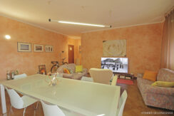 288a (2)